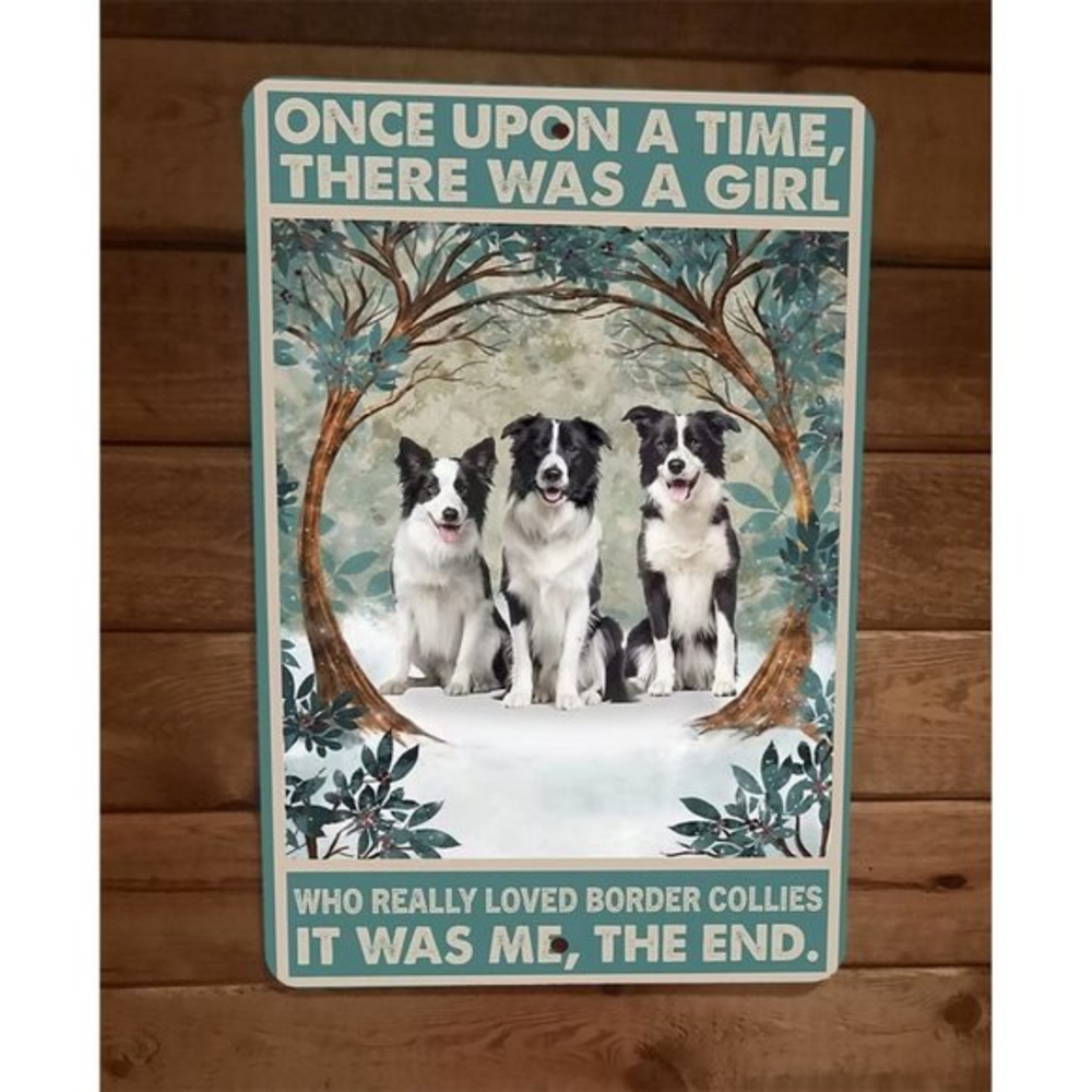 Once Was a Girl That Loved Border Collie Dogs 8x12 Metal Wall Sign Animal Poster